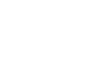 logo-tiedot-bl